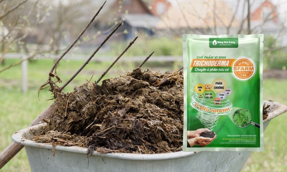 Hướng dẫn ủ phân chuồng bằng Trichoderma hiệu quả, sạch mùi