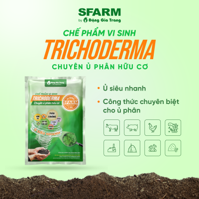 u phan chuong bang trichoderma 2