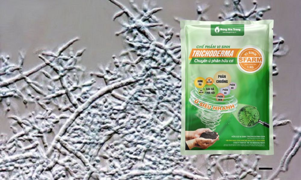 u phan ga bang trichoderma 3