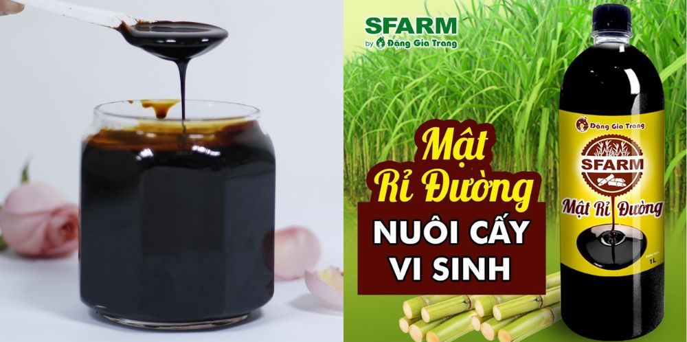 u phan ga bang trichoderma 5 e1760358005360