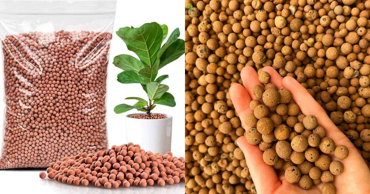Những đặc tính ưu việt khiến nhiều người tìm kiếm nơi bán viên đất nung Hà Nội