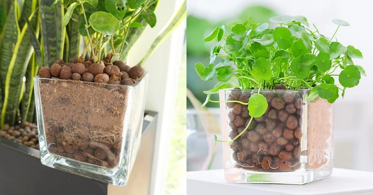 Viên đất nung sở hữu nhiều ưu điểm tuyệt vời