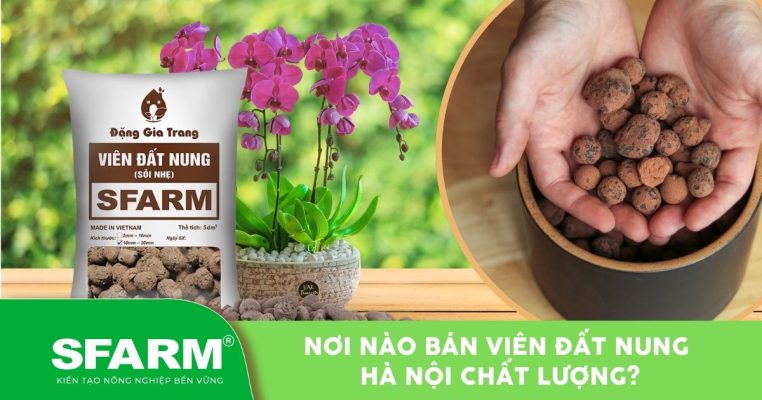 ban vien dat nung ha noi thumb