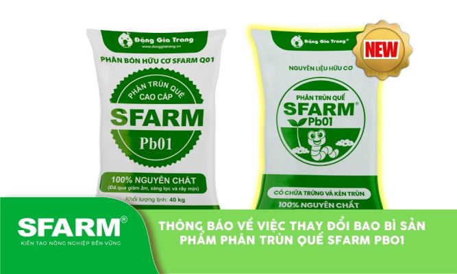 Thay đổi bao bì phân trùn