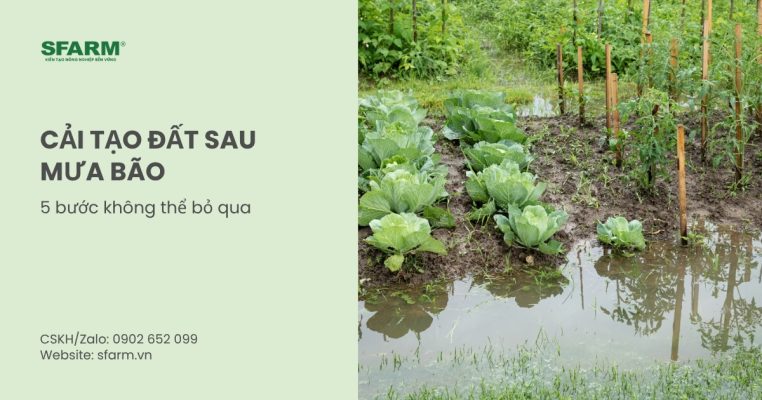 cai tao dat sau mua bao thumb