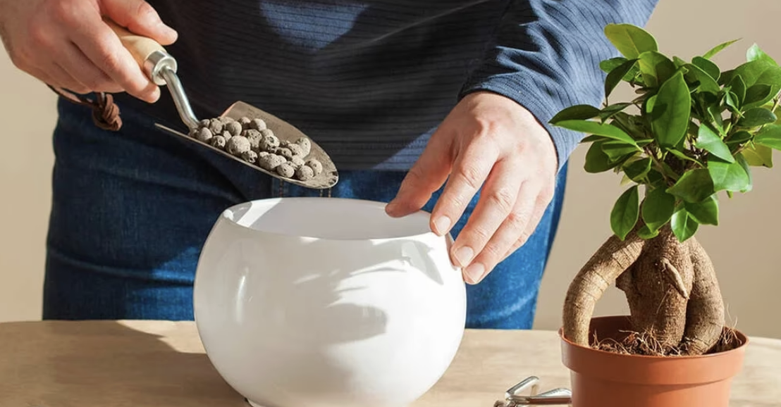 Đất nung có thể dùng lót đáy chậu hoặc phủ mặt chậu