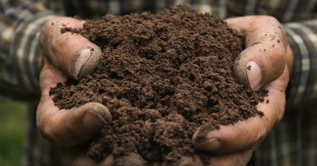 Thổ tượng trưng cho đất trong ngũ hành