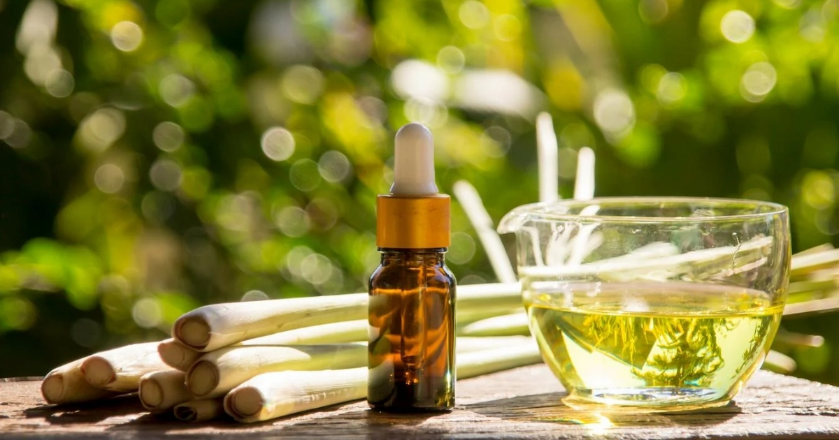 Tinh dầu sả giúp thư giãn và giảm căng thẳng