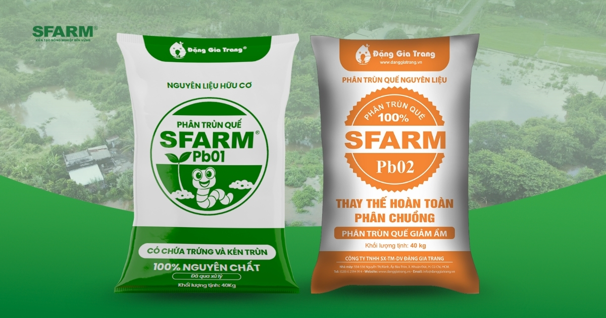 Phân hữu cơ giúp cây phục hồi sau ngập úng Phân hữu cơ giúp cây phục hồi sau ngập úng