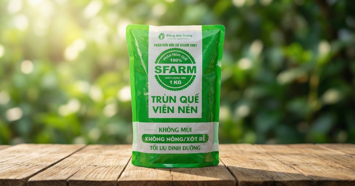 Bón phân trùn quế viên nén SFARM giúp kích thích rễ và lộc non cây đào