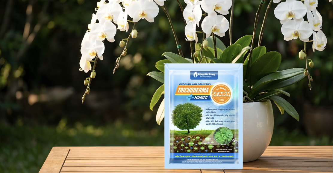 Trichoderma giúp cây phục hồi nhanh