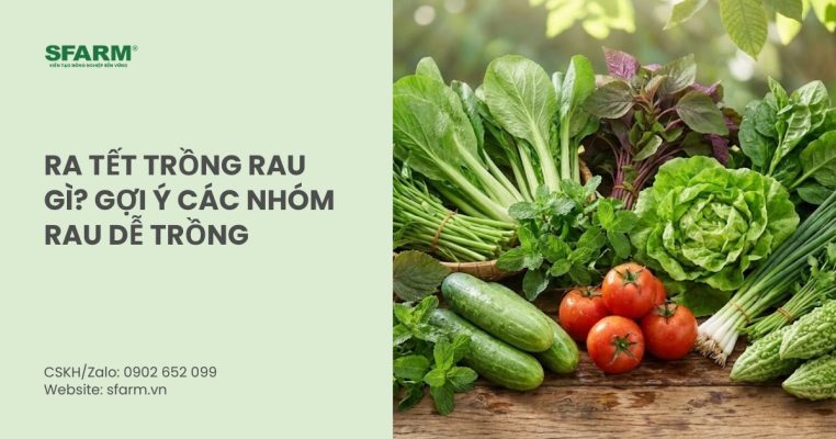 ra tet trong rau gi thumb