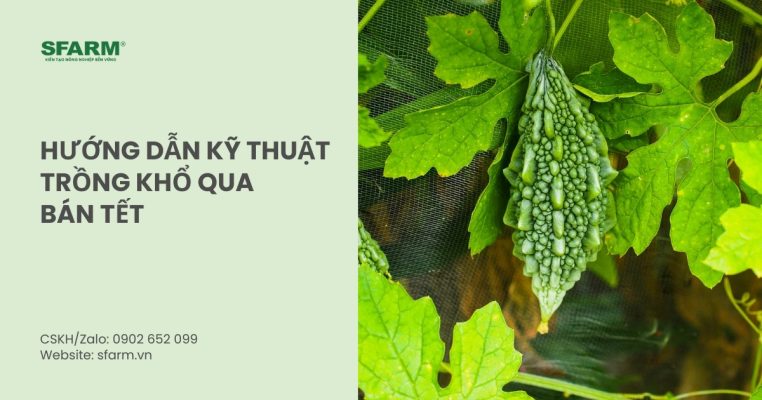 trong kho qua ban tet thumb