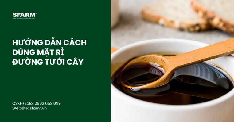 cach dung mat ri duong tuoi cay thumb