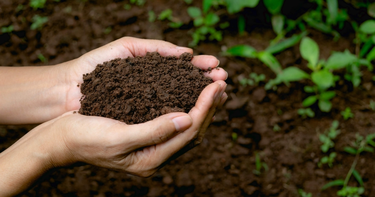 Chế phẩm EM giúp cải thiện cấu trúc đất Chế phẩm EM giúp cải thiện cấu trúc đất