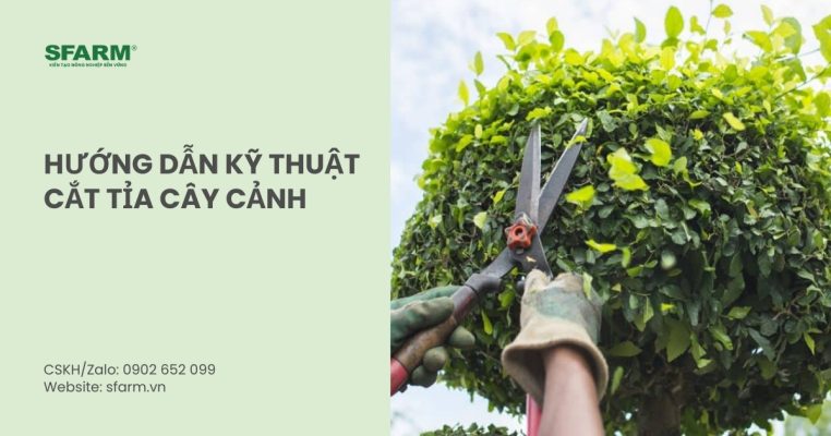 cat tia cay canh thumb