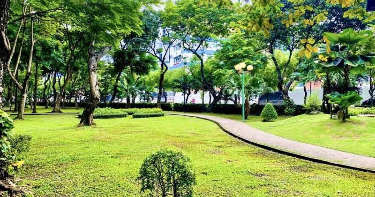 Nên thuê dịch vụ cắt tỉa nếu có nhiều cây cao lớn khó xử lý Nên thuê dịch vụ cắt tỉa nếu có nhiều cây cao lớn khó xử lý