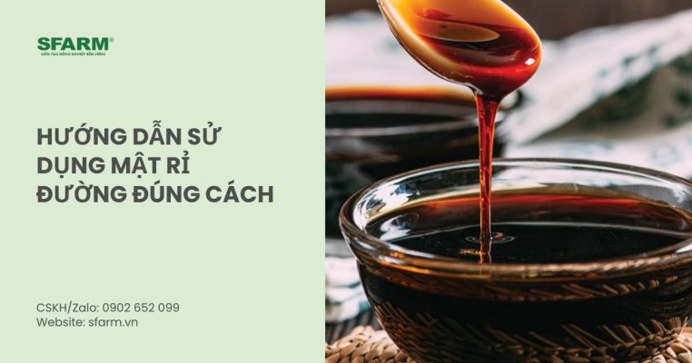 huong dan su dung mat ri duong thumb