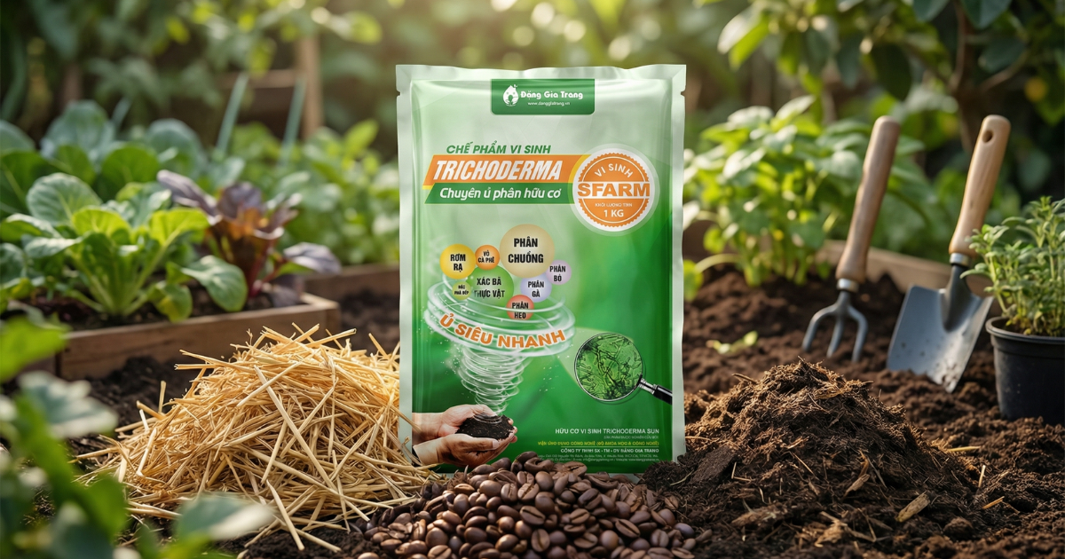 Chế phẩm vi sinh Trichoderma ủ phân Sfarm