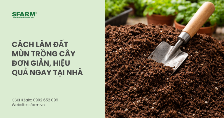 Cách làm đất mùn trồng cây đơn giản, hiệu quả ngay tại nhà