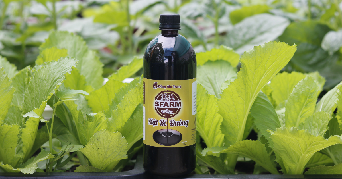 Mật rỉ đường Sfarm dạng lỏng, dễ hòa tan