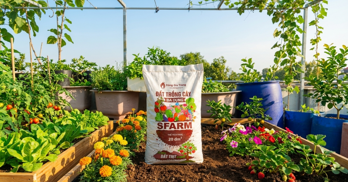 Đất trồng cây đa dụng Sfarm giàu dinh dưỡng cho cây