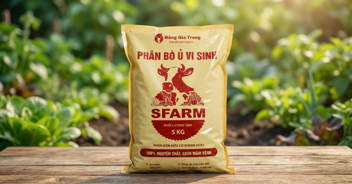 Phân bò ủ vi sinh Sfarm cung cấp dinh dưỡng cho cây