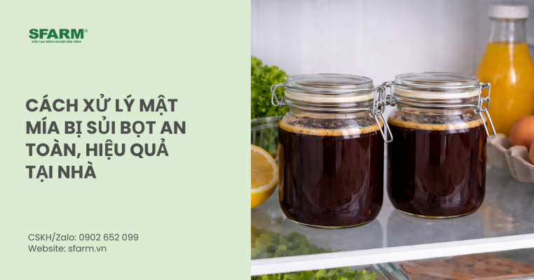 Cách xử lý mật mía bị sủi bọt an toàn, hiệu quả tại nhà