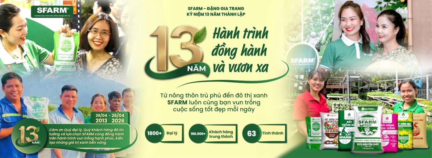 hành trình 13 năm thành lập sfarm- đặng gia trang