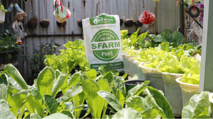 Phân trùn quế SFarm PB01 phù hợp cho người mới trồng, dễ sử dụng, hiệu quả cao