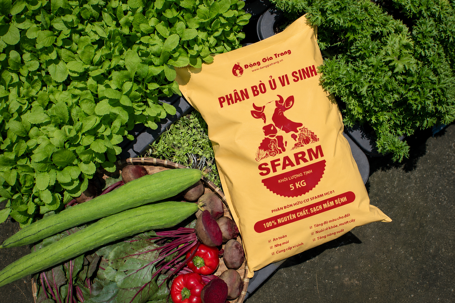 Phân bò hữu cơ vi sinh SFARM - Ảnh 8