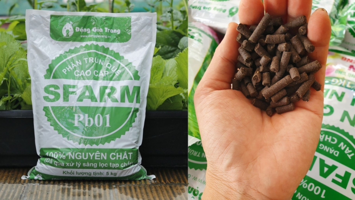 Phân trùn quế SFarm - 100% nguyên chất,  dạng viên nén 