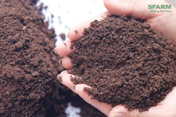 Phân hữu cơ vi sinh dạng bột