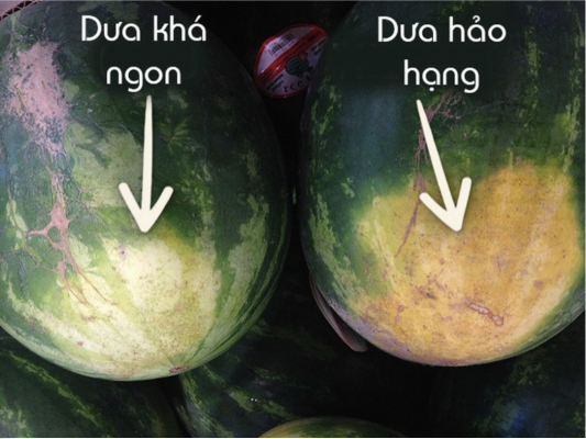Cách chọn dưa hấu ngon qua đốm vàng dưới đáy quả 