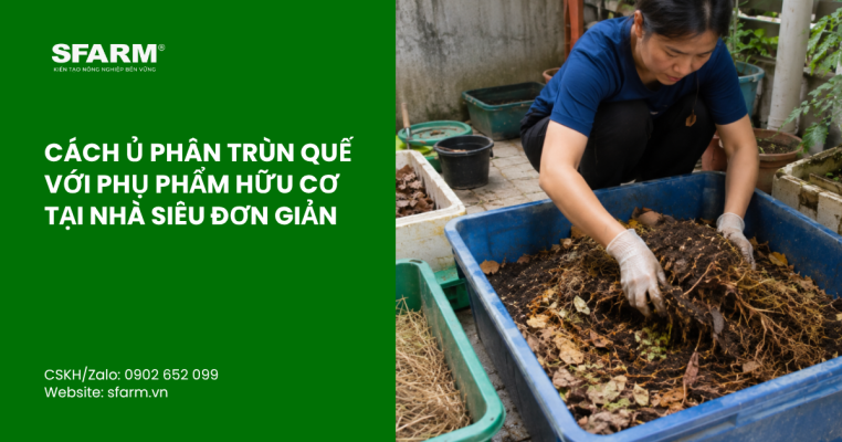 bon lot cho ca chua thumb 42