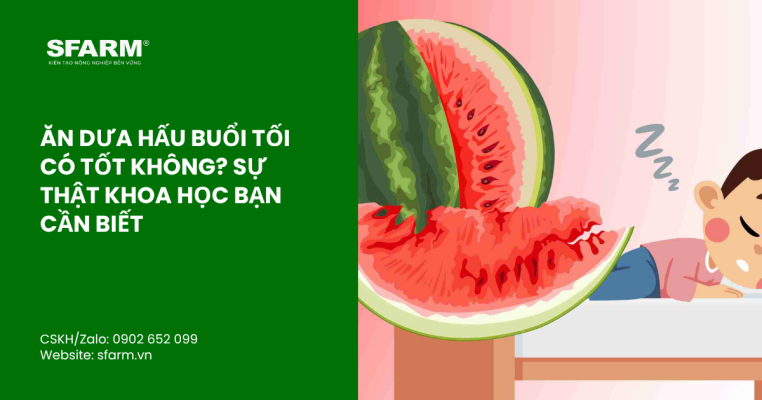 bon lot cho ca chua thumb 55