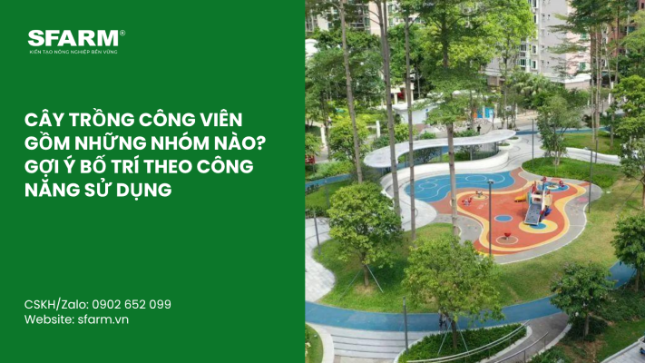 Cat Tia Cay Viet Quat Dung Cach Thoi Diem Ky Thuat Va Nhung Luu Y Quan Trong 15