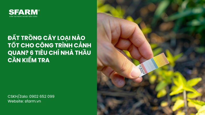 Cat Tia Cay Viet Quat Dung Cach Thoi Diem Ky Thuat Va Nhung Luu Y Quan Trong 16