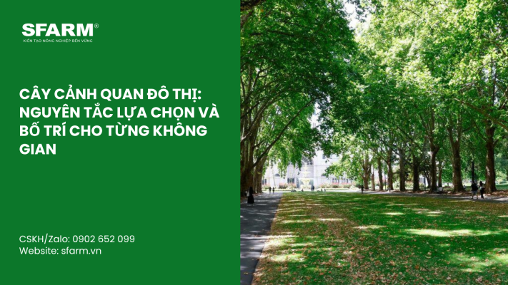 Cat Tia Cay Viet Quat Dung Cach Thoi Diem Ky Thuat Va Nhung Luu Y Quan Trong 18