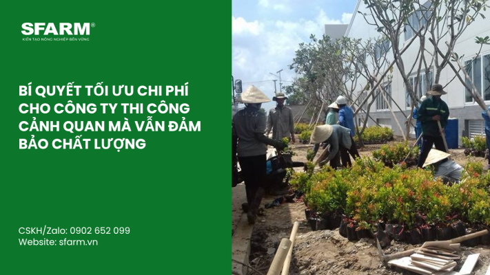 Cat Tia Cay Viet Quat Dung Cach Thoi Diem Ky Thuat Va Nhung Luu Y Quan Trong 2