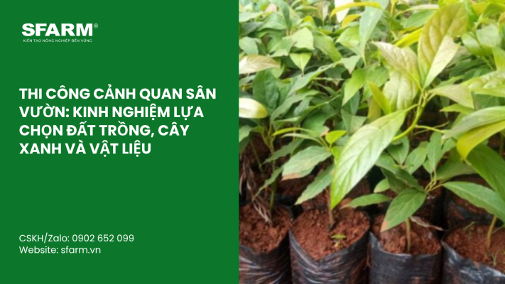 Cat Tia Cay Viet Quat Dung Cach Thoi Diem Ky Thuat Va Nhung Luu Y Quan Trong 3