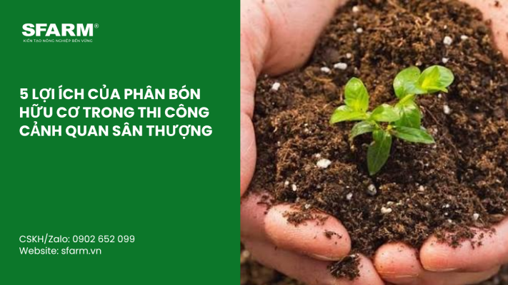 Cat Tia Cay Viet Quat Dung Cach Thoi Diem Ky Thuat Va Nhung Luu Y Quan Trong 9