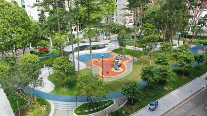 Cây trồng công viên cho khu vực vui chơi và vận động
