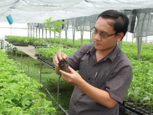 Chọn giống cây phù hợp với điều kiện khu vực