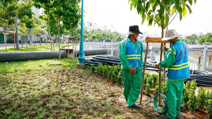 Lắp đặt và cố định cây bóng mát công trình