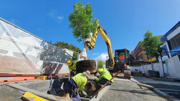 Giải pháp cho bồn cây bị giới hạn không gian rễ