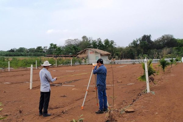 Khảo sát đất khu vực trước khi trồng cây