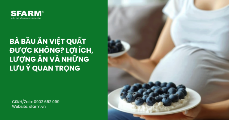 ky thuat lam bong sau rieng musang king thumb 39