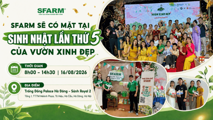 Thiet ke chua co ten 2026 08 10T160640.901