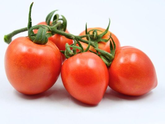 Đặc điểm của giống cà chua chịu nhiệt
